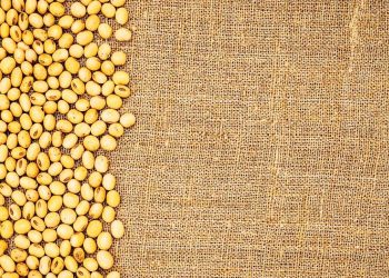 cover-eco-fashion-ekoloska-moda-green-fashion-tkanina-od-soje