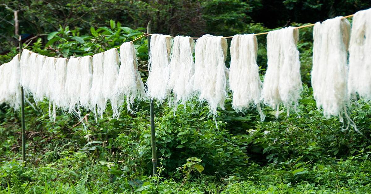 cover-eco-fashion-ekoloska-moda-eco-friendly-Piñatex-veštačka-koža