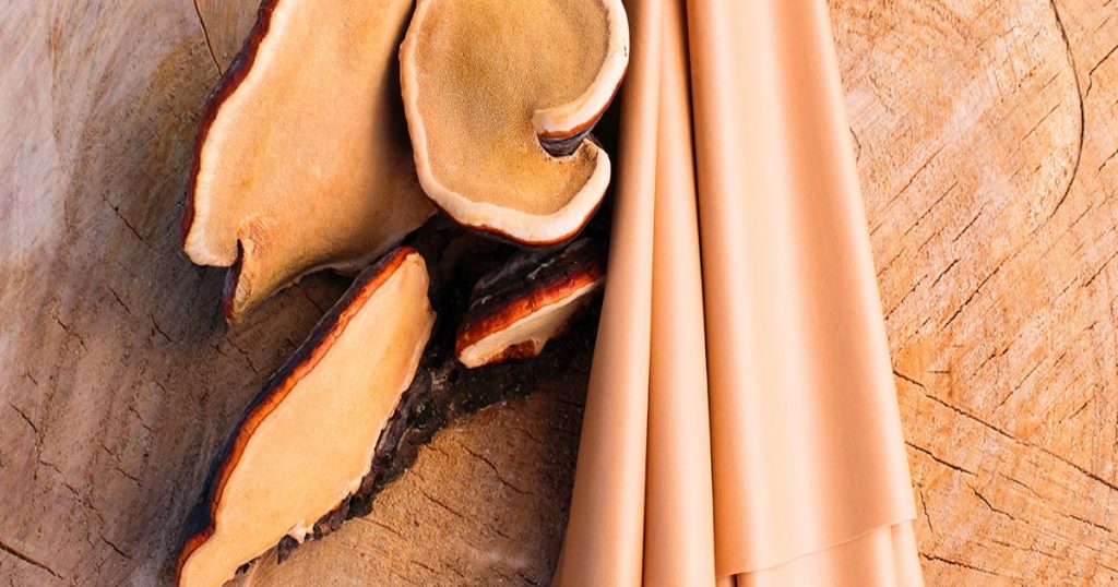 cover-eco-fashion-ekoloska-moda-eco-friendly-koža-od-pečuraka-alternativa-pravoj-koži