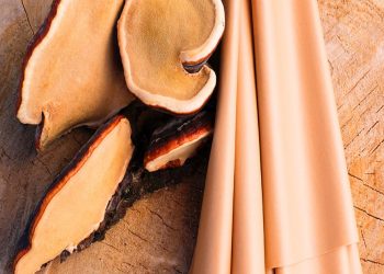 cover-eco-fashion-ekoloska-moda-eco-friendly-koža-od-pečuraka-alternativa-pravoj-koži