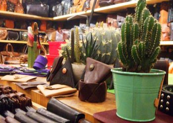 cover-eco-fashion-ekoloska-moda-eco-friendly-zeleno-vegansko-koža-od-kaktusa